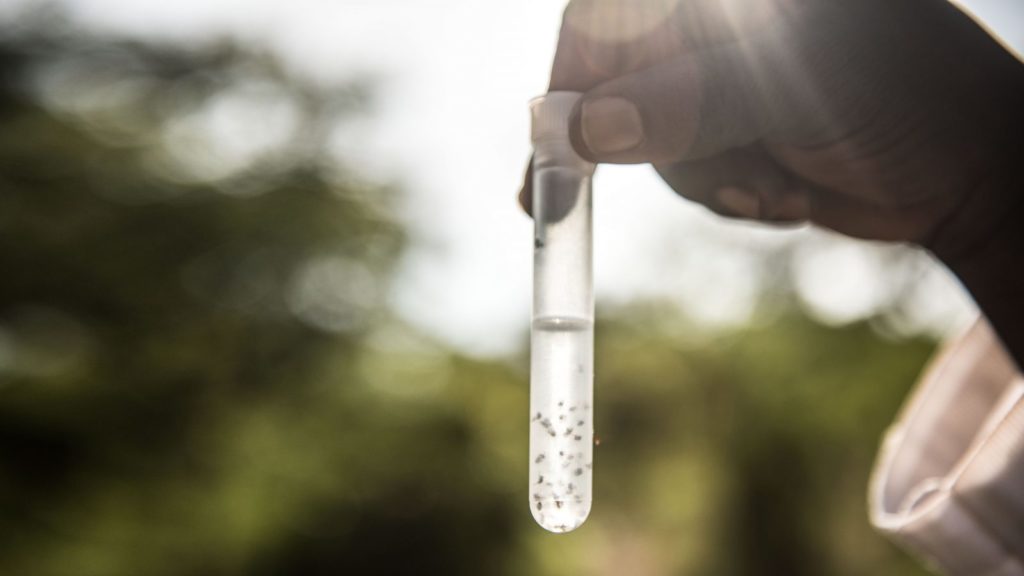 A man is holding up a test tube with dirty water and flies in it,